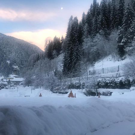 Holidays Dolomiti Apartment Resort 카리솔로 외부 사진